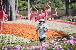 BIB: 
                            <button type="button" onclick="openModal(27793551)" class="btn btn-primary btn-sm float-right btn-popup" data-toggle="modal" data-target=".modal-high-quality">
                        <i class="fas fa-shopping-cart"></i> Add to Cart
                    </button>
                                            <button type="button" onclick="isThisMe(27793551, true)" class="btn btn-success btn-sm float-right btn-popup btn-isme hidden" data-toggle="tooltip" data-placement="bottom" title="นี่คือรูปของคุณใช่ไหม คลิกที่นี่เพื่อเอาเข้าอัลบั้ม">
                        <i class="fas fa-plus"></i> Add to album
                    </button>
                    <button type="button" onclick="isThisMe(27793551, false)" class="btn btn-warning btn-sm float-right btn-popup btn-isnotme hidden">
                        <i class="fas fa-ban"></i> Remove from album
                    </button>